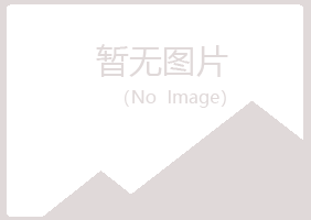 包头青山夏日金属有限公司